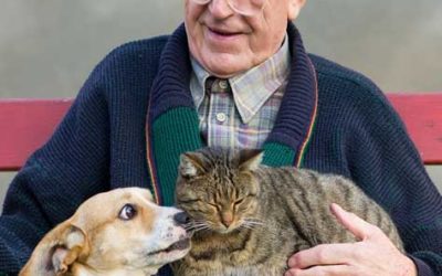 Benefits of Having a Pet if You are Challenged with Alzheimer’s or Another Form of Dementia