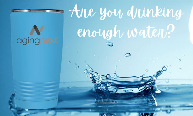 How much water should you drink each day?